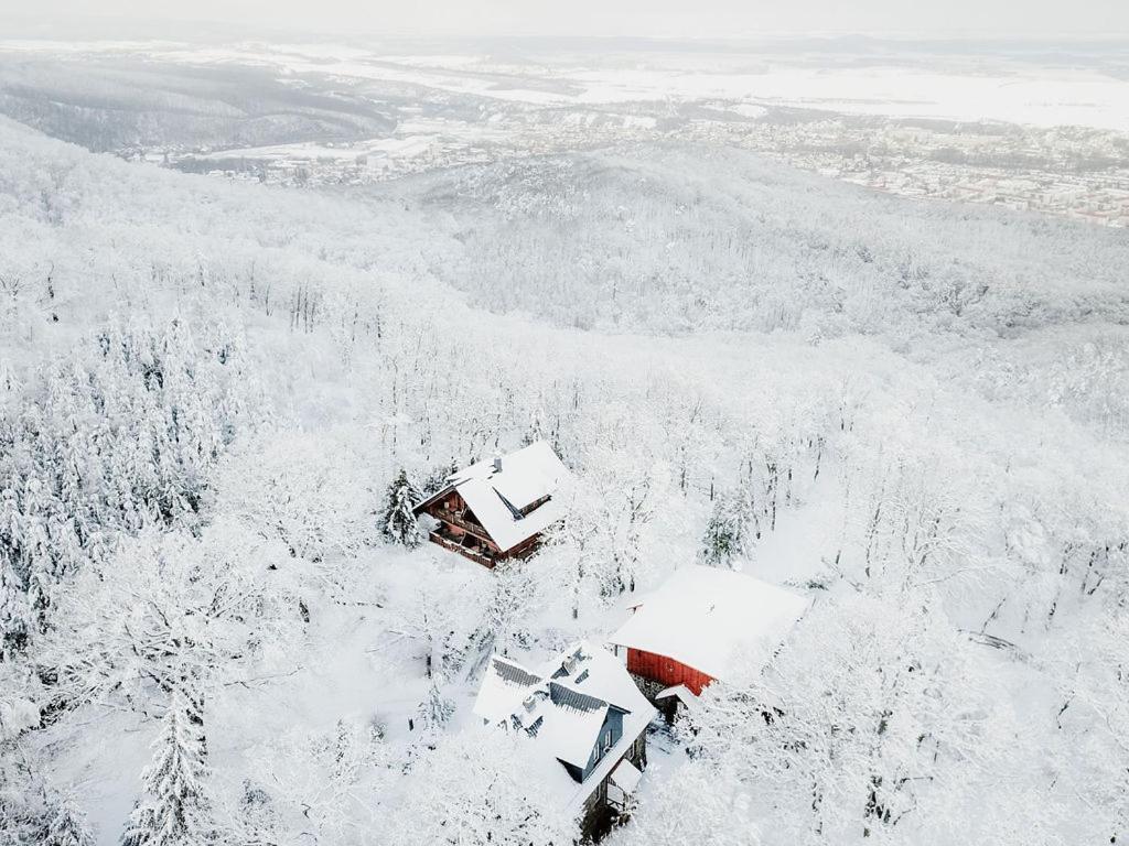 Naturtraum Georgshöhe Thale Exterior foto